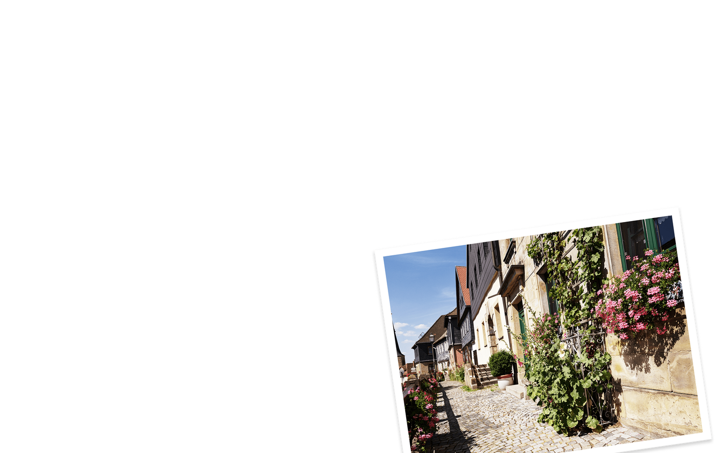 SWMH Header NoSu Frei