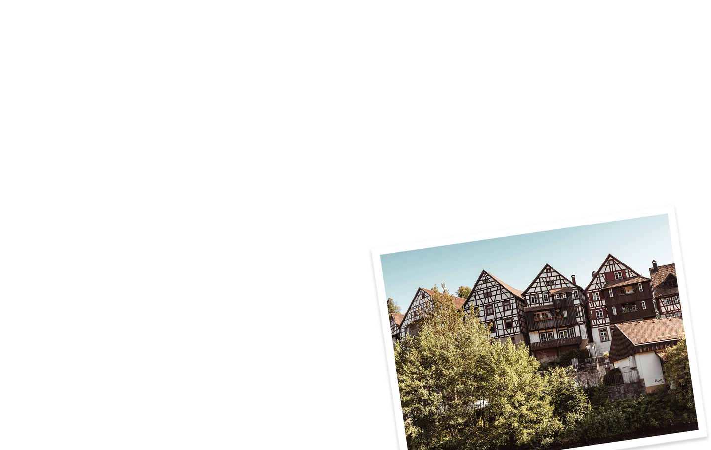 SWMH Header Schw Frei